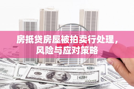 武汉房抵贷房屋被拍卖行处理，风险与应对策略